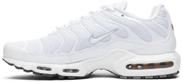 Tn Blanche